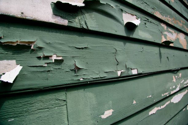 Best Property Management Cleanouts  in Fort Lewis, WA